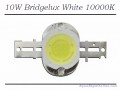 Bridgelux 10W White 10000K