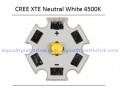 Cree XTE Neutral White 4500K